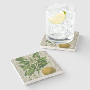 modern vintage french country botanical art orange stone coaster
