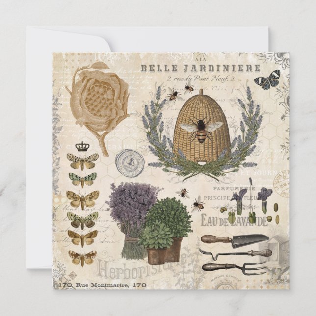 Modern Vintage French Farmhouse Bee (Front)