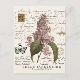 modern vintage French Lilacs Postcard