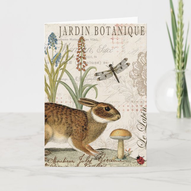 modern vintage french rabbit in the garden card (Front)