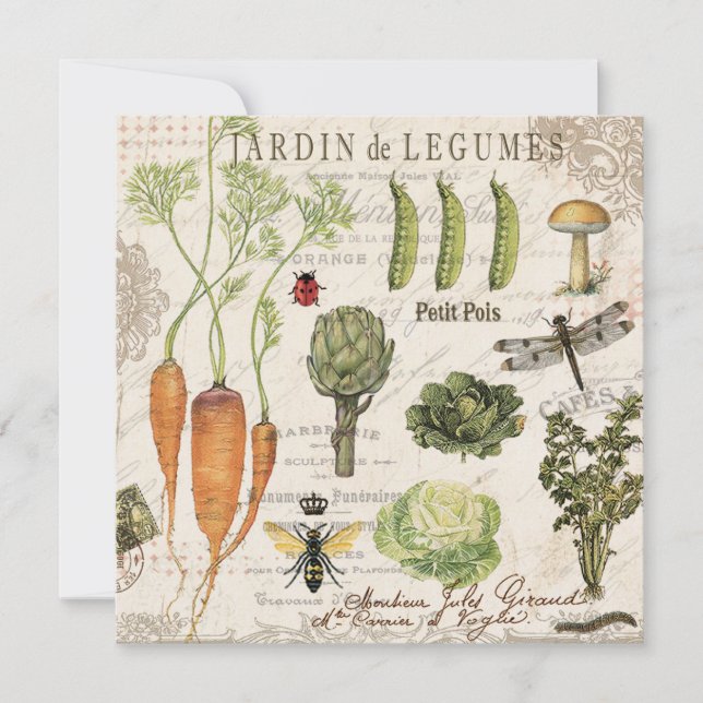 modern vintage french vegetable garden (Front)