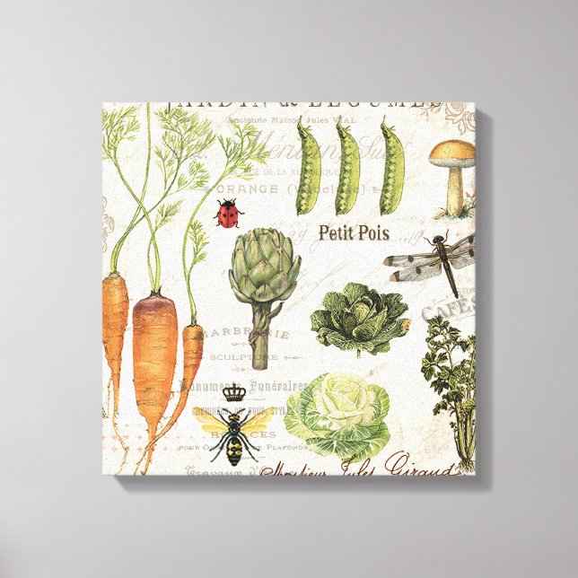 modern vintage french vegetable garden canvas print (Front)