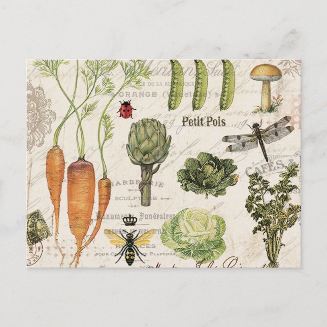modern vintage french vegetable garden postcard (Front)
