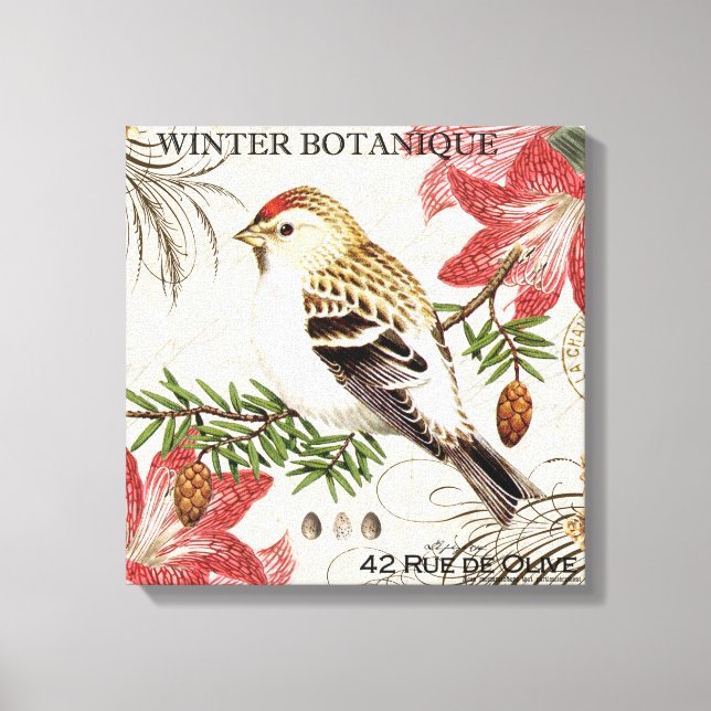 modern vintage french winter bird canvas print (Front)