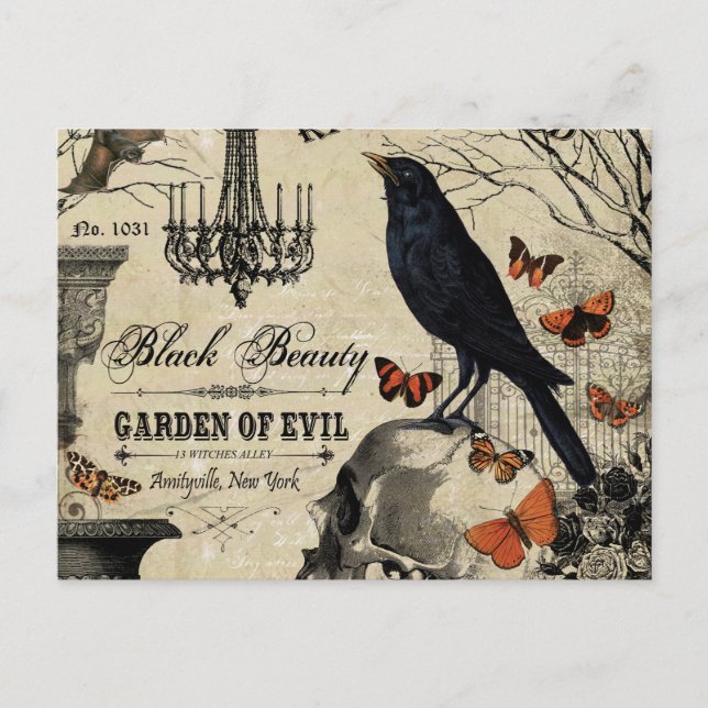 modern vintage halloween crow and skull postcard (Front)