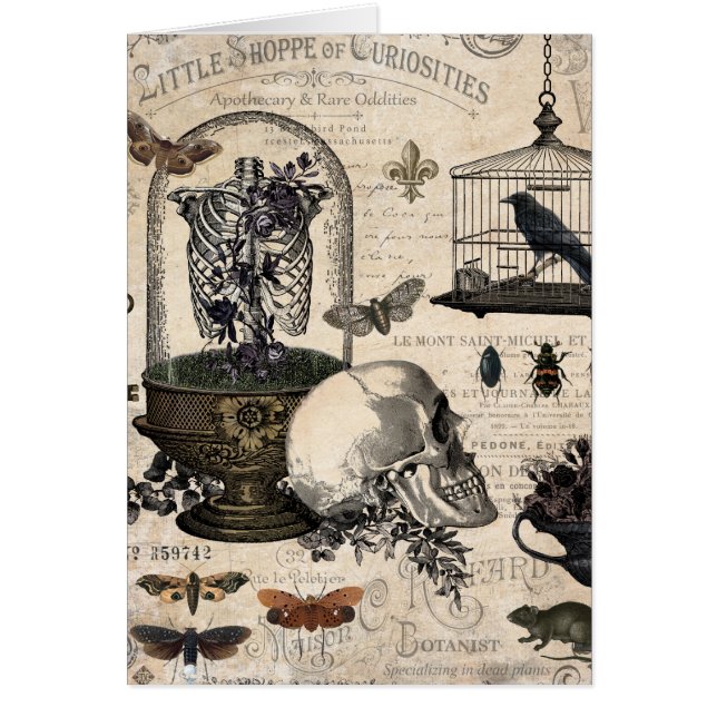 Modern Vintage Halloween Garden (Front)