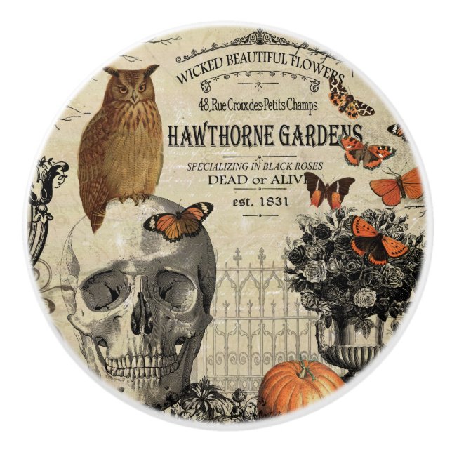 Modern vintage Halloween owl and skull Ceramic Knob (Front)