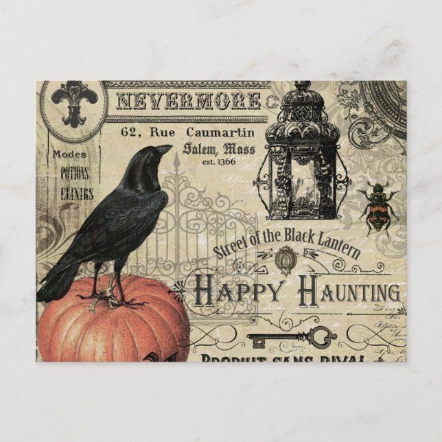 modern vintage halloween pumpkin and crow postcard (Front)