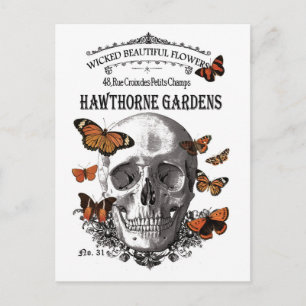 modern vintage Halloween skull and butterflies Postcard