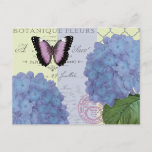 modern vintage hydrangea and butterfly postcard