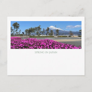 Modern Vintage Mt Fuji Japan Spring Pink Shibazaku Postcard