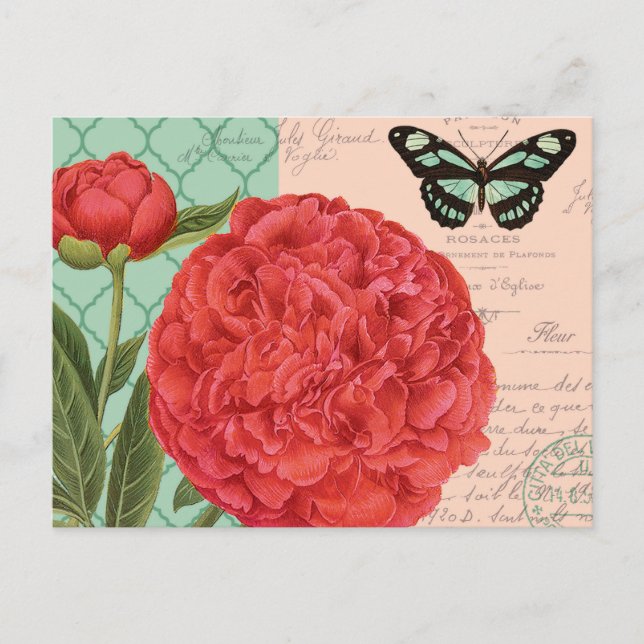 Modern vintage Peony and butterfly Postcard (Front)