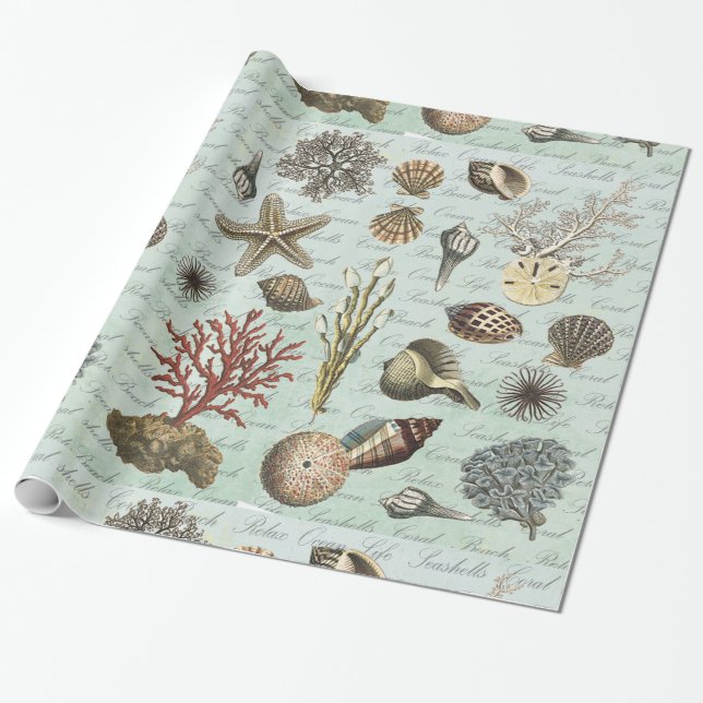 Modern Vintage Seashells Wrapping Paper (Unrolled)