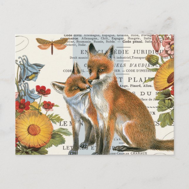 Modern vintage woodland fox postcard (Front)