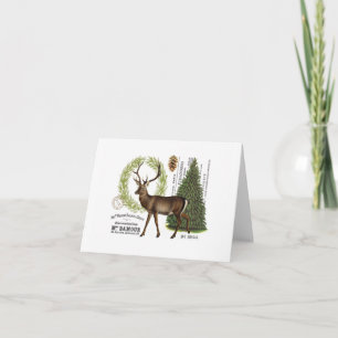 modern vintage woodland winter deer holiday card