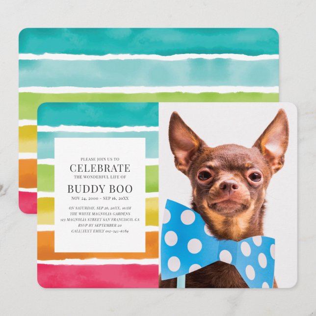 Modern Watercolor Rainbow Stripes Pet Memorial Invitation (Front/Back)