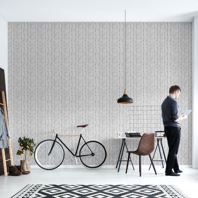 Modern white birch  wallpaper (Living Room)