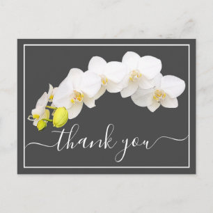 Modern White Orchid Elegant Botanical Thank You Postcard