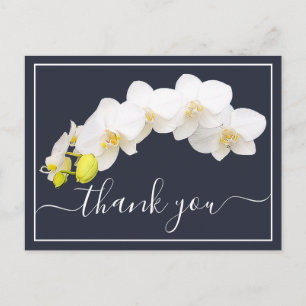 Modern White Orchid Elegant Botanical Thank You Postcard