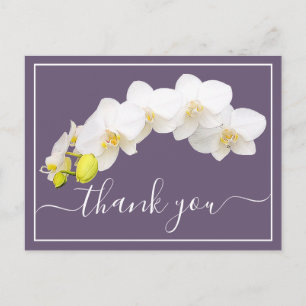 Modern White Orchid Elegant Botanical Thank You Postcard