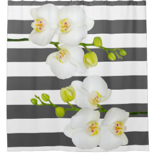 Modern White Orchids & Thick White Stripes