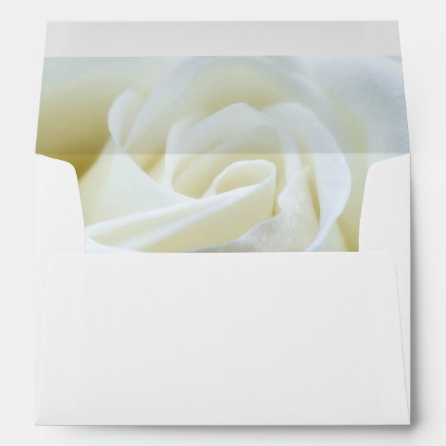 Modern White Rose Envelope (Back (Bottom))