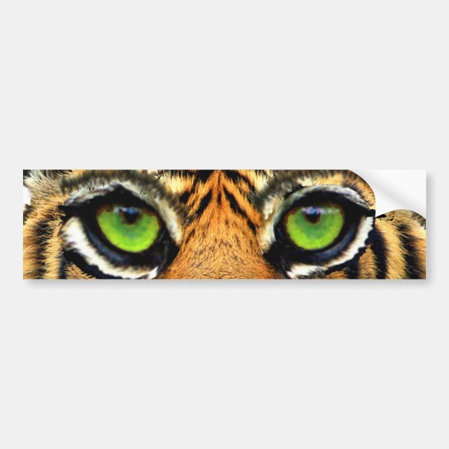 Modern Wild Tiger Bumper Sticker (Front)
