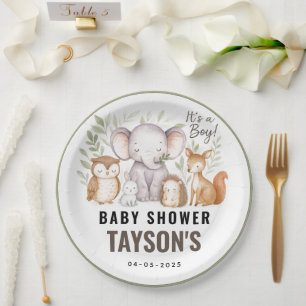 Modern Woodland Animals Forest Boy Baby Shower Paper Plate