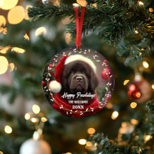 Moderne chien de compagnie mignon Joyeuses Fêtes 2