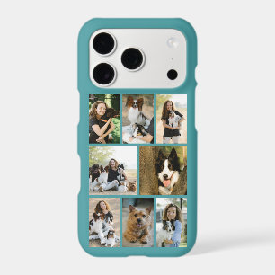 Moderne Photo Teal 8 Animaux de Compagnie