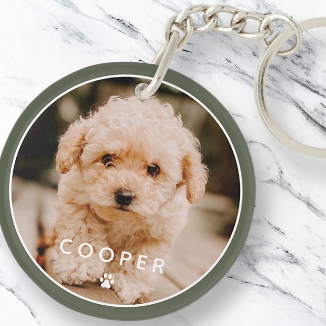 Moderne Simple Jouer Élégant Chic Paw Pet Photo (Créateur téléchargé)