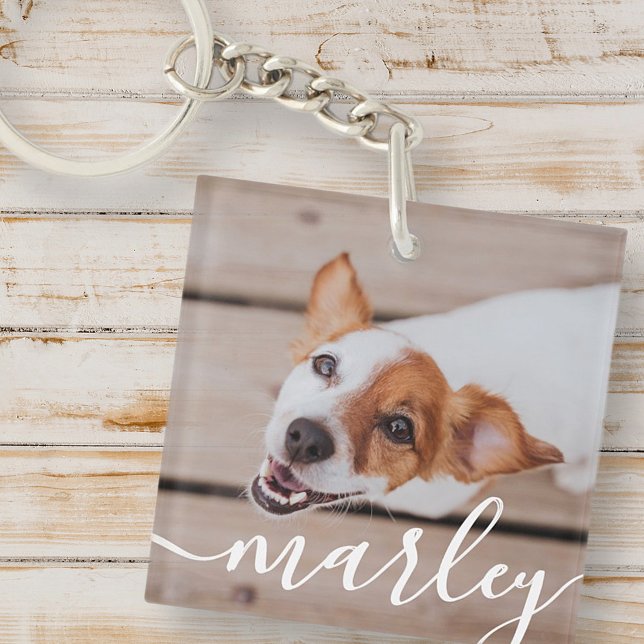 Moderne Simple Jouer Élégant Chic Pet Photo (Créateur téléchargé)