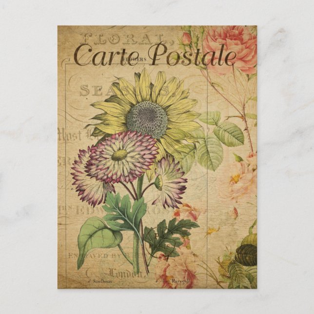 Moderne Vintage Fleurs collage Carte postale (Devant)