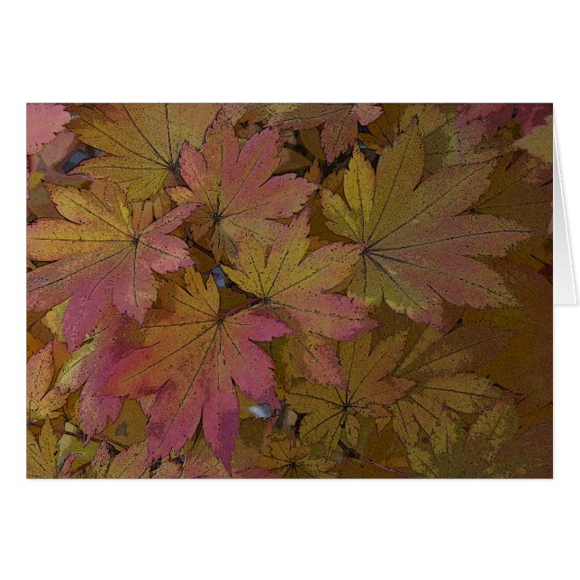 Modification des Feuilles d'érable (Devant Horizontal)