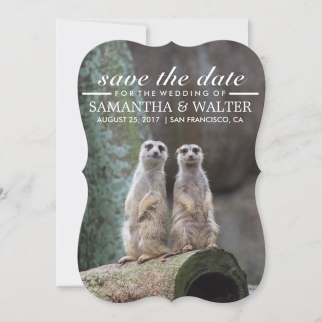 Modify This Funny Meerkats Save The Date (Front)