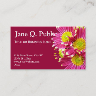 Modules de carte de visite Hot rose Gerber Daisies