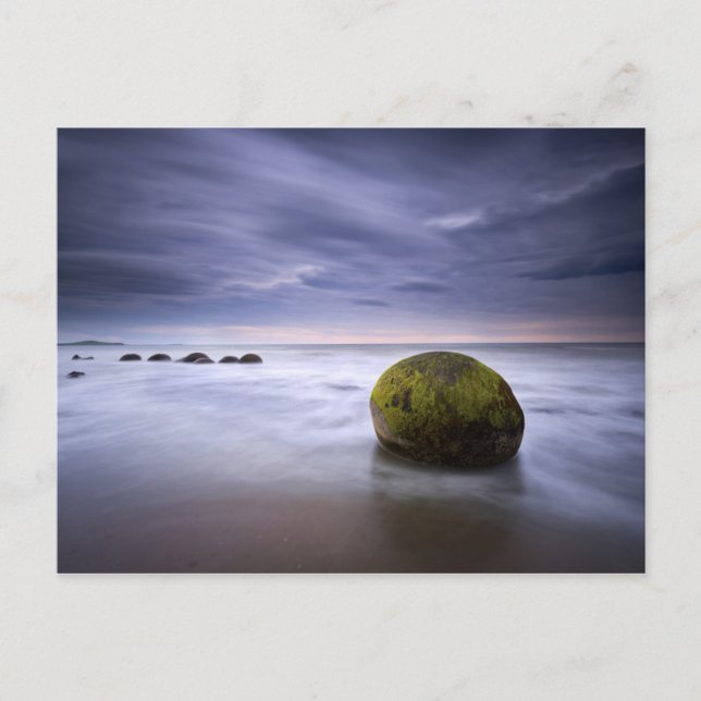 Moeraki Boulders Sunrise Seascape Postcard (Front)