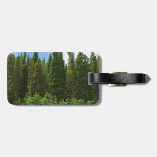 Moffat Road Pine Trees Colorado Luggage Tag
