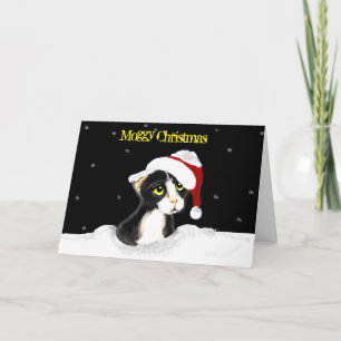 Moggy Christmas Cat Card