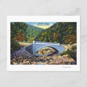 Mohawk Trail View of Cold River Bridge Postcard
