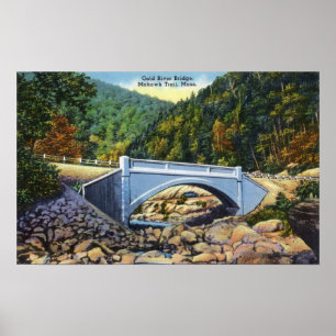 Mohawk Trail View of Cold River Bridge Poster