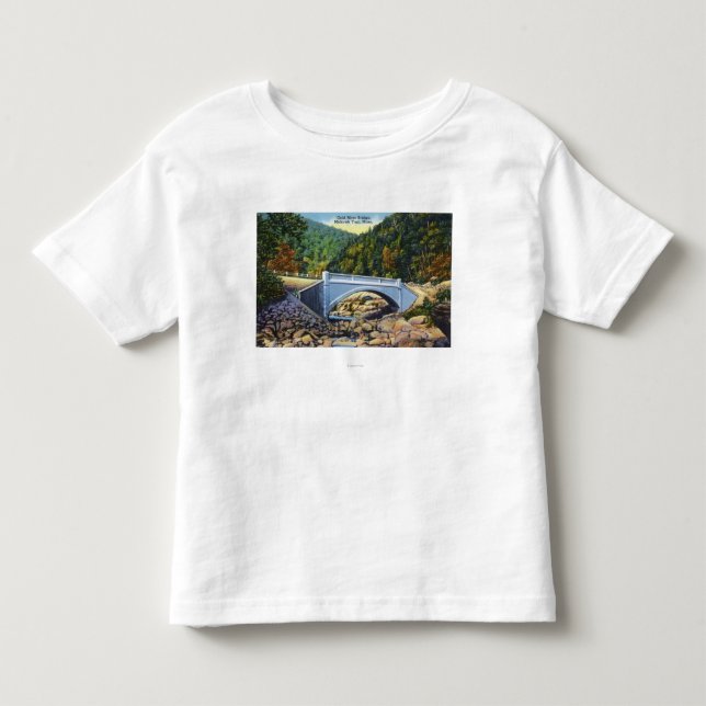 Mohawk Trail View of Cold River Bridge Toddler T-shirt (Front)