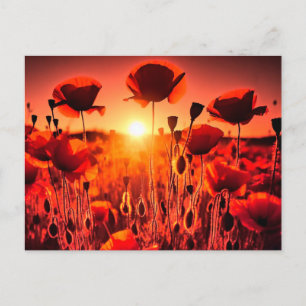 Mohn im Gegenlicht Holiday Postcard