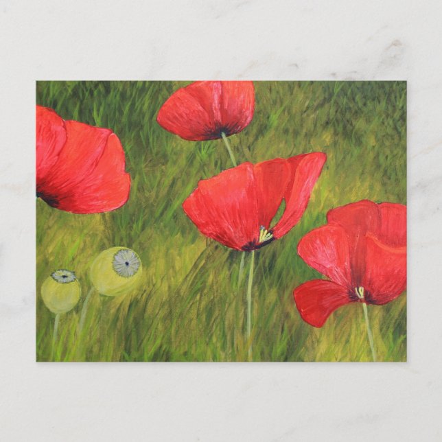 Mohnfeld Postcard (Front)