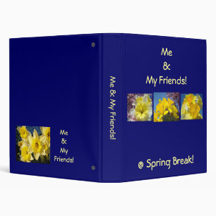 Moi & Mes Amis @ Spring Break ! Livre de classeur 