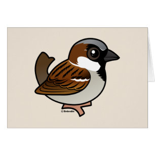 Moineau de Chambre