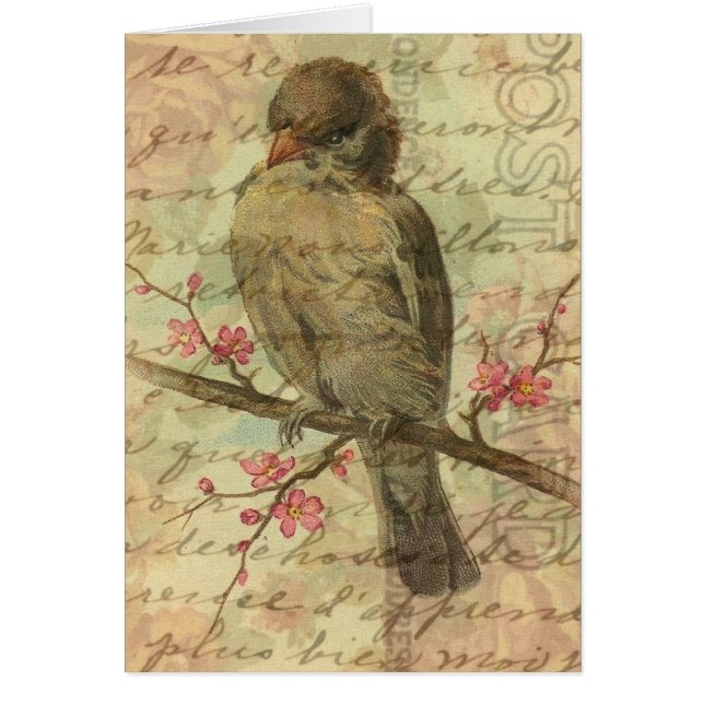 Moineau vintage (Devant)
