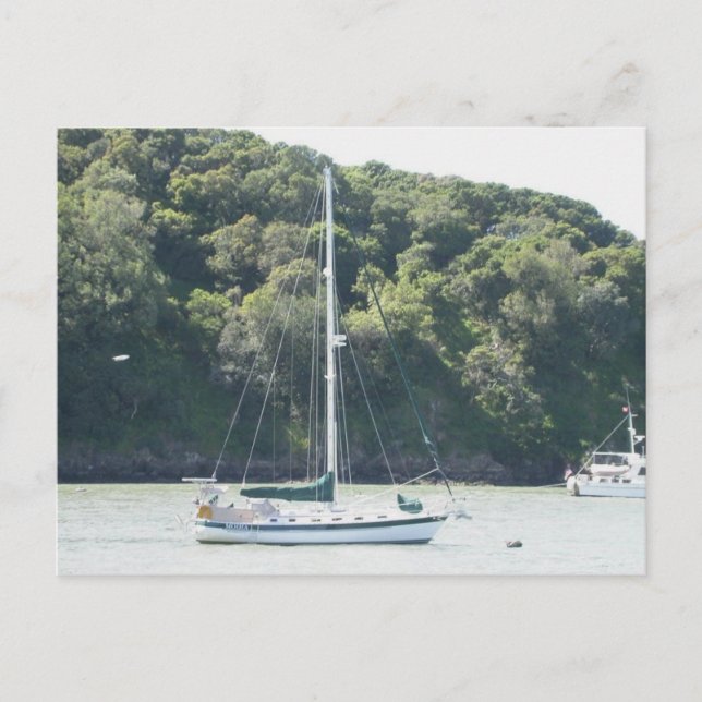 Moira on mooring, Angel Island, San Francisco Postcard (Front)