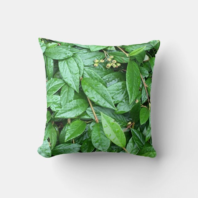 moist wet green cushion (Front)