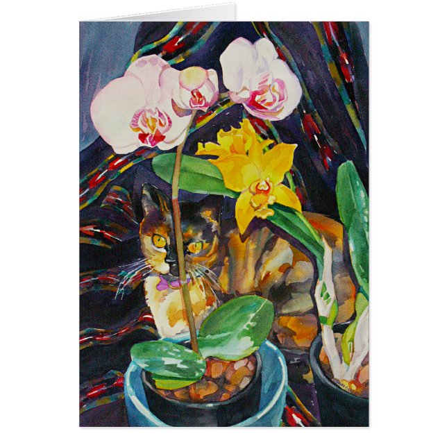 "Moitié et demi " (Devant)